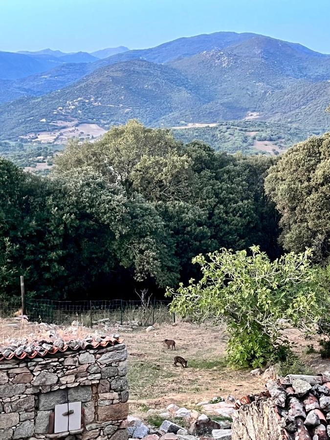 Tradition Corse Et Modernite A Cantina Granace ภายนอก รูปภาพ